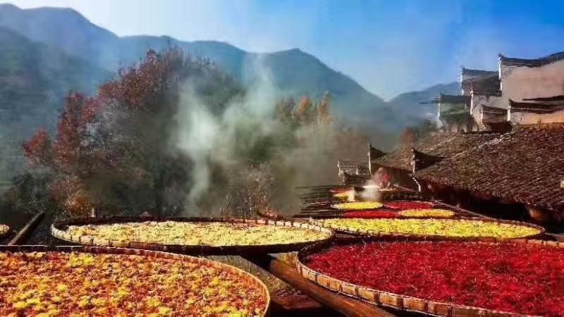 Xishan Wutong Qinyuan Monts Huang Extérieur photo